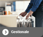 Accesso Gestionale